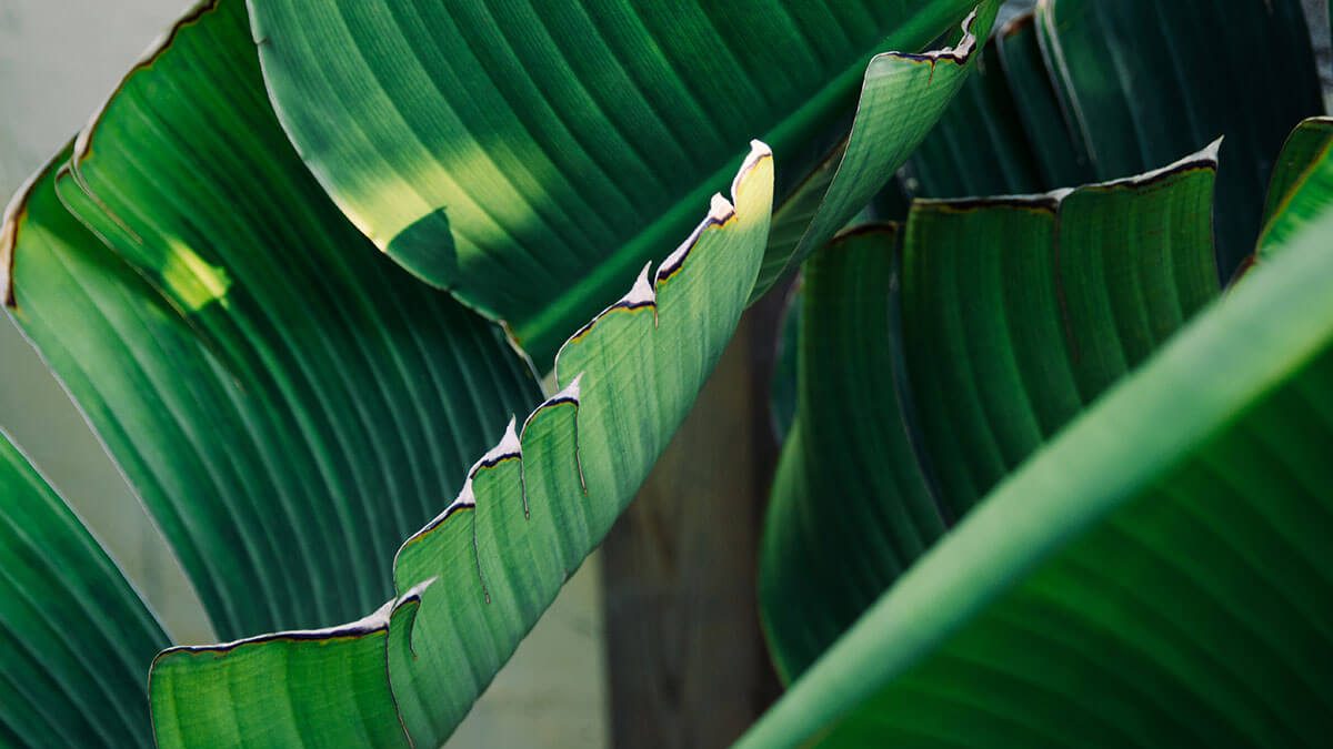 How To Find Good Spots For Nature Inspired Photo-Shoots